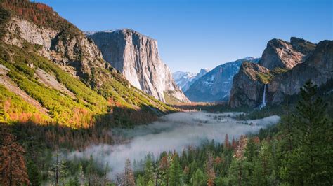 70 Yosemite National Park Facts People Dont Know Hippo Haven