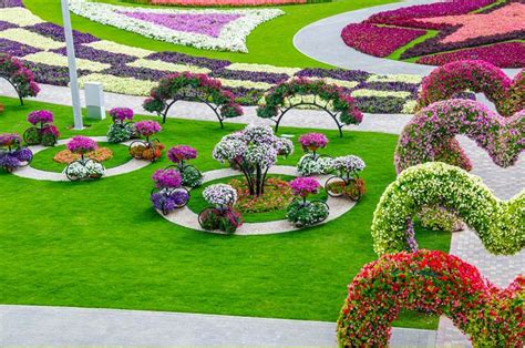 Dubai Miracle Garden World Biggest Flower Garden