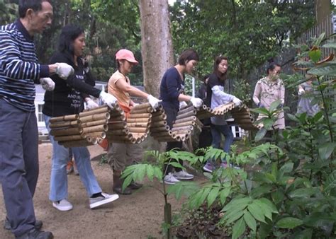 Bb, bb, or similar, may refer to: 綠色先鋒：建郊共存 龍虎山再改造｜即時新聞｜港澳｜on.cc東網