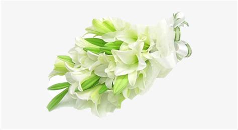 Or the 50th anniversary, the charm of this day never fails to ? White Lily Roses Flower Delivery Candy Petal - Death Love ...