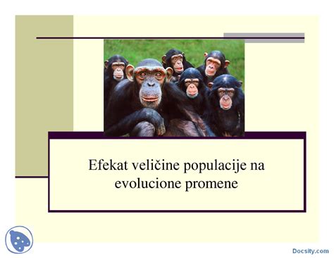 Efekat Velicine Populacije Slajdovi Evolucija Slajdovi Predlog