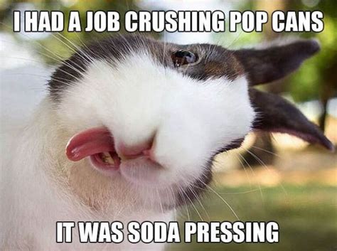 So, she looked all around the store to see if it was. These Funny Memes Will Make You Laugh | Cuteness Overflow