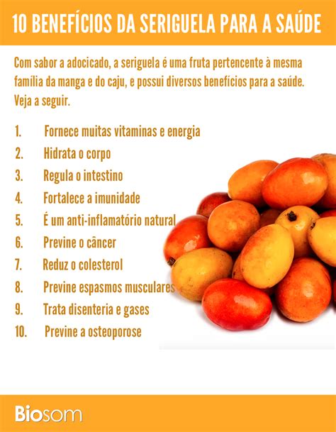 Benefícios Da Casca Da Seriguela