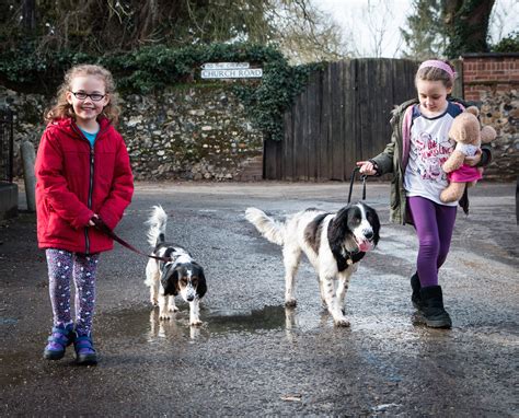 Check spelling or type a new query. 5 Reasons To Take Your Dog For A Walk - Project Pawsitivity