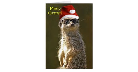 Meerkat Christmas Card Zazzle