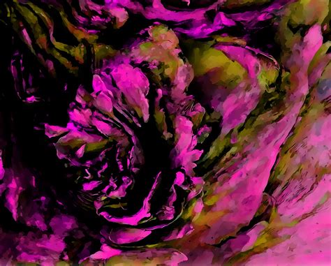 Pink Rose Abstract Background Free Stock Photo Public Domain Pictures