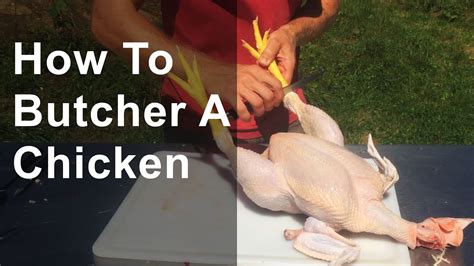 How To Butcher A Chicken Step By Step YouTube