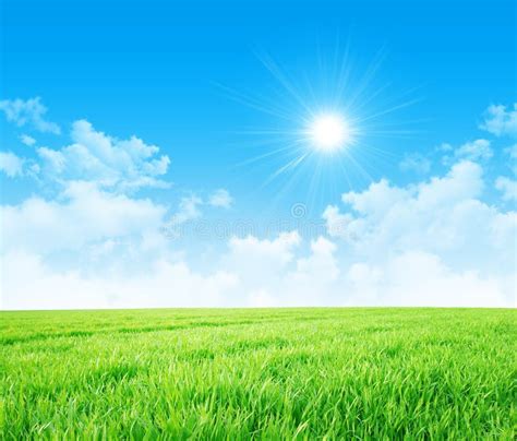 Spring Meadow And Sun In Blue Sky Stock Image Image Of Grass