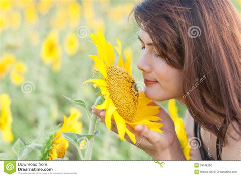 Sniffing Sunflowers Stock Photo Image Of Beauty Outdoor 38148290