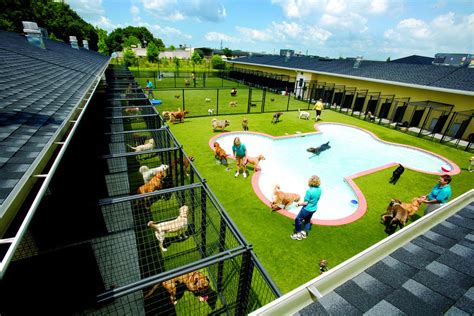 Best of citysearch rounded up the top hotels options in houston metro, and you told us who the cream of the crop is. Pet Paradise Resort | Dog boarding kennels, Dog boarding ...