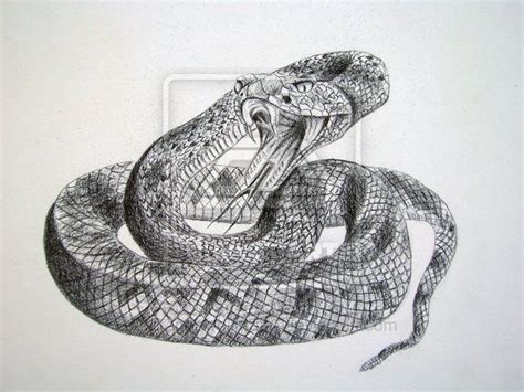 Hei 48 Lister Over Tattoo Drawings Realistic Snake Drawing Easy How