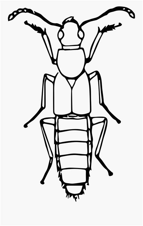 Download Cricket Insect Clipart Black And White Background Kriket