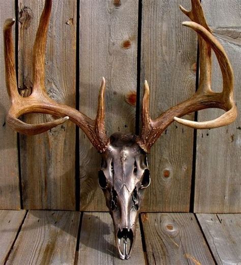 20 Awesome Pieces Of Antler Art Antler Art Deer Skull Art Elk Skull