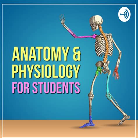 Anatomy And Physiology For Students Listen Via Stitcher For Podcasts