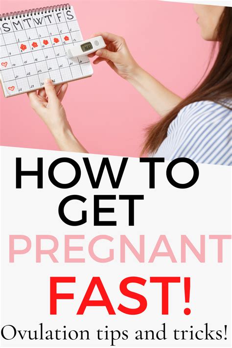 Everything You Need To Know About Ovulation So You Can Get Pregnant Fast Artofit