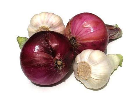 Health Benefits Of Onions And Garlic Natural Antibiotics Onion