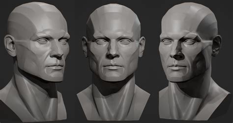 Planes Of The Head Male 3d Print Model Male Face Drawing Print