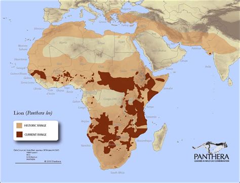 Gis Research And Map Collection Maps Of Lion Habitats Available From