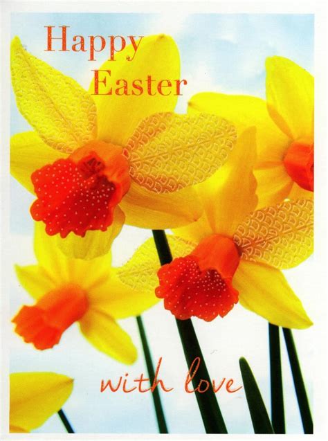Easter fills us with hope, joy and warmth. Pack of 5 Daffodil Happy Easter Greetings Cards | Cards | Love Kates