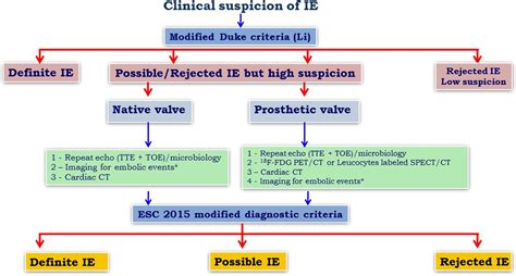 2015 Esc Guidelines On The Management Of Infective Endocarditis A Big