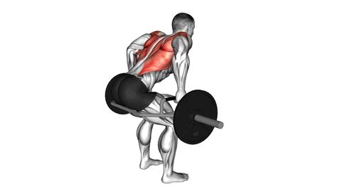 Trap Bar Bent Over Row Male Video Guide And Tips