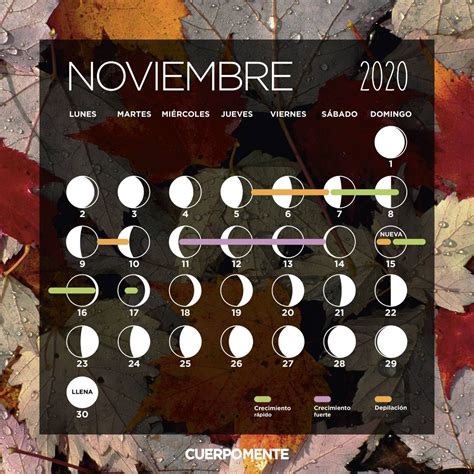 Calendario Lunar 2020 Corte De Pelo Siembra Y Depilación Calendario