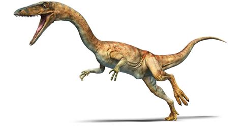 Andy travels back 127 million years to the time of. Coelophysis | Coelophysis Facts | DK Find Out