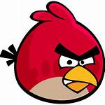 Icon Angry Bird Birds Sizes Icons