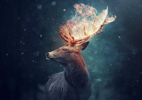Share More Than 67 Cool Deer Wallpapers Best Incdgdbentre