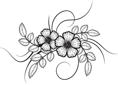 Flowers Drawing Illustrations Png File Flower Drawing Flower Line Drawings Simple Flower