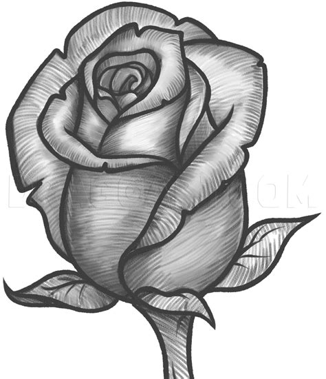 Feel free to download, share and use them! How To Draw A Rose Bud, Rose Bud by Dawn | dragoart.com