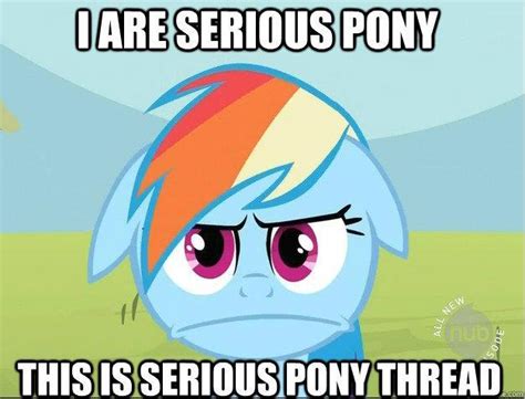 I Are Serious Pony This Is Serious Pony Thread My Little Pony
