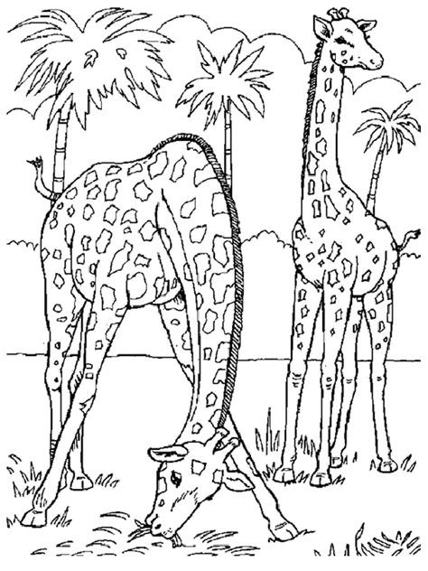 One little finger coloring pages. Free Printable Giraffe Coloring Pages For Kids