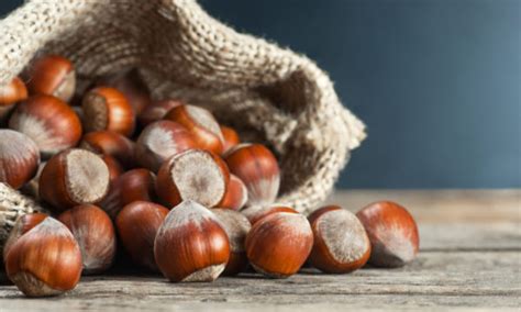 Fonti alimentari, livelli di assunzione e stato di nutrizione. Alimenti ricchi di acido folico: la lista de Il Giornale ...