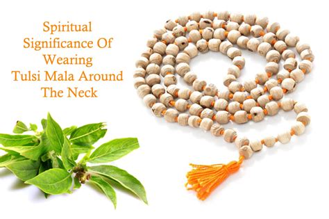 Spiritual Significance Of Wearing Tulsi Mala Around The Neck