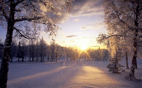 Snow Picture Free Wallpaper World Part 3