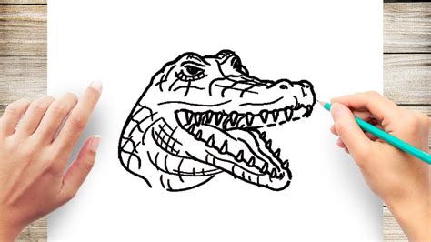 How To Draw Crocodile Face Youtube