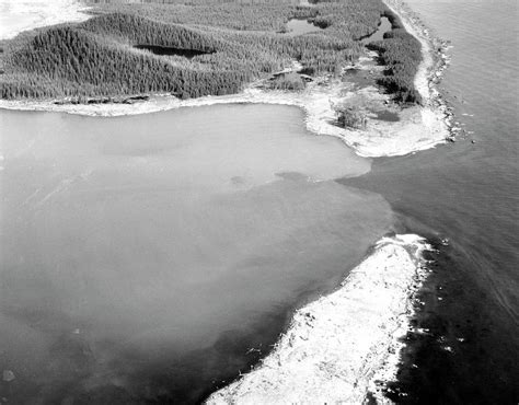 Damage From Lituya Bay Tsunami Photograph By Us Geological Survey Science Photo Library