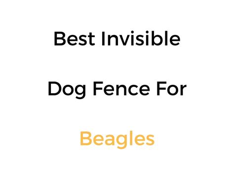 Best Electric Dog Fence For Beagles Dog Fence Pet Containment