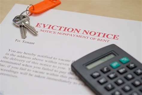 The property should be inspected and any pest infestations should be removed thoroughly by a professional pest control service provider. Why You Should Use A Landlord Attorney | Express Evictions