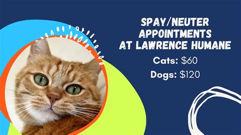 Spayneuter Appointments Lawrence Humane Society