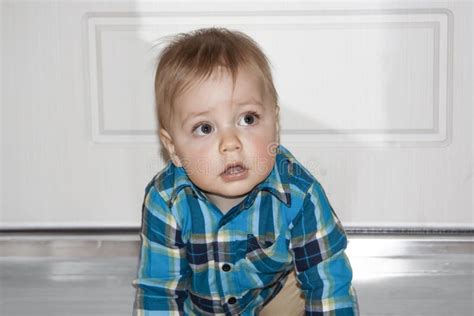 Portrait Of A Cute Little Boy In A Blue Shirt Stock Image Image Of