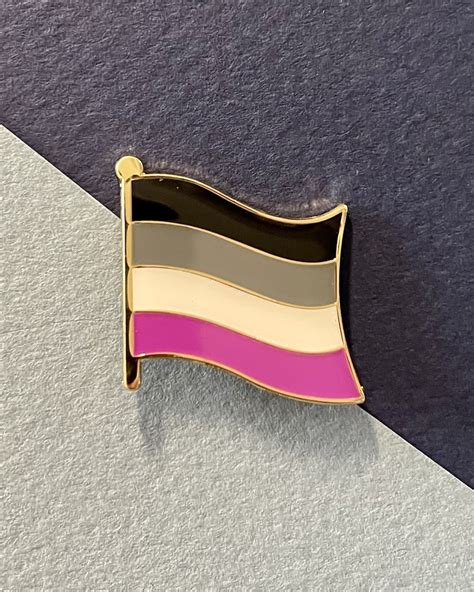 Asexual Flag Pin Lgbt Pins Asexual Flag Asex Pride Etsy