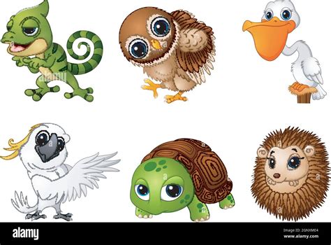 Wild Animal Cartoons Set Stock Vector Image And Art Alamy