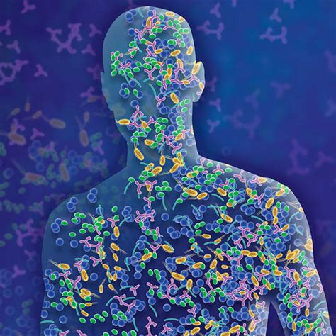 Study Of The Human Microbiome And Its Relation To Cancer Nci