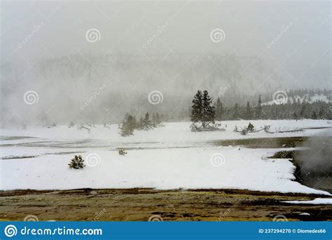 Winter Snowing Geothermal Pool Yellowstone Stock Photo Image Of