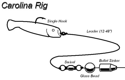 Want to get a hold of us for any particular reason? Carolina rig - Wikipedia