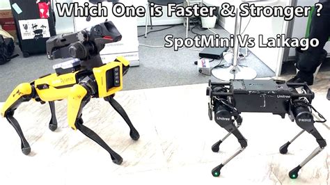 Which One Is Faster Laikago By Unitree Robotics Meeting Spotmini From