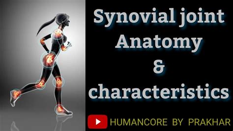 What Is Synovial Joints In Hindi Characteristics Structure