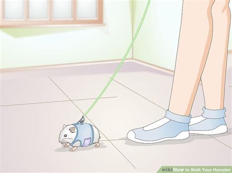 How To Walk Your Hamster 10 Steps With Pictures Wikihow